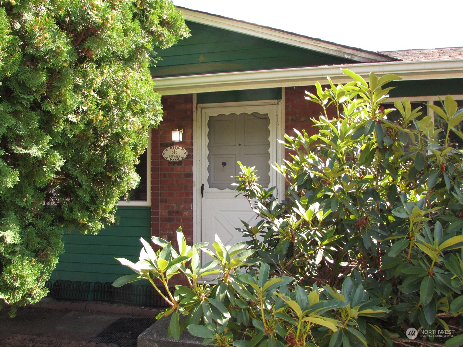 a plant is in front of a house