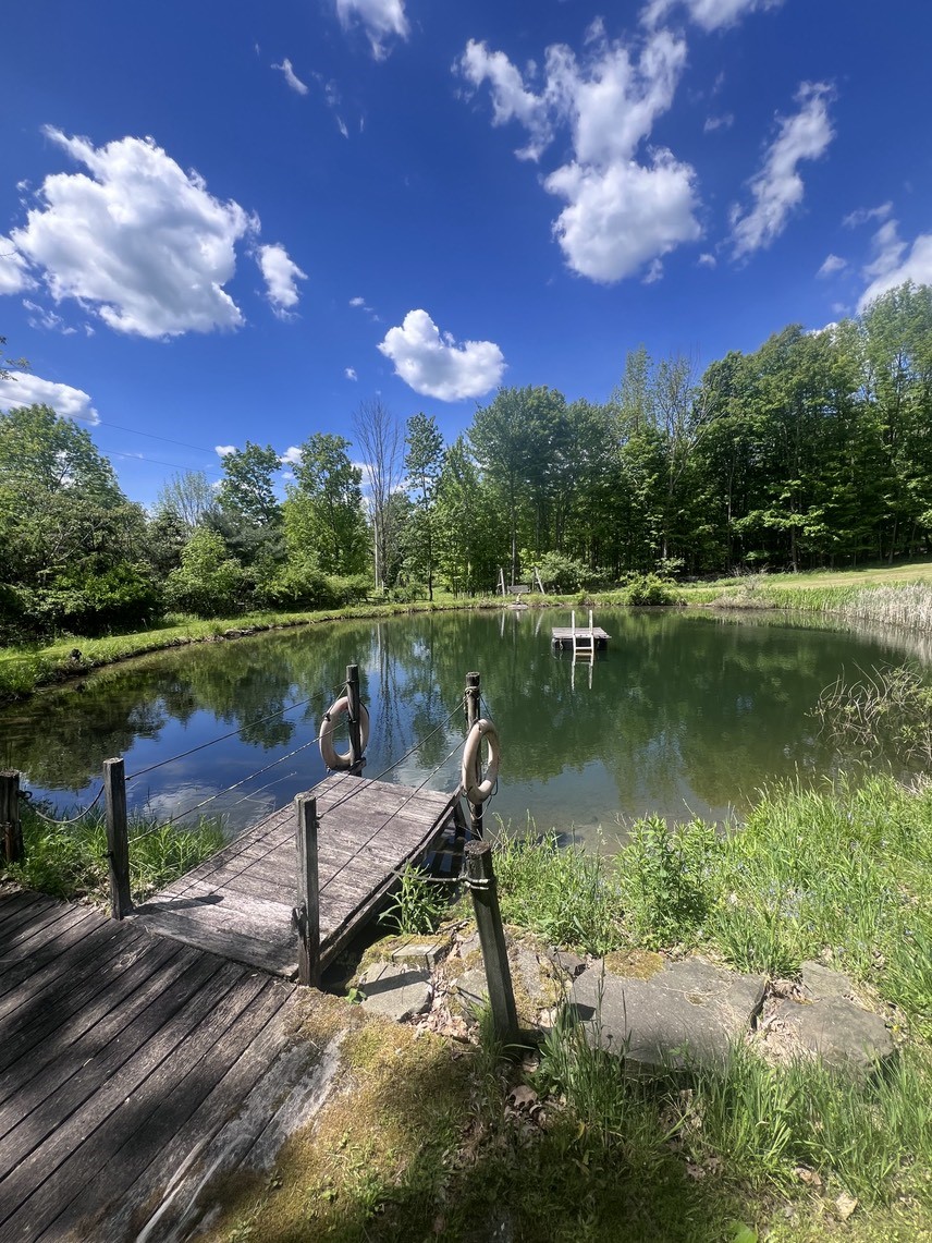 1338 Abe Boice Road Sidney Center, NY 13839 - Photo 11 of 38