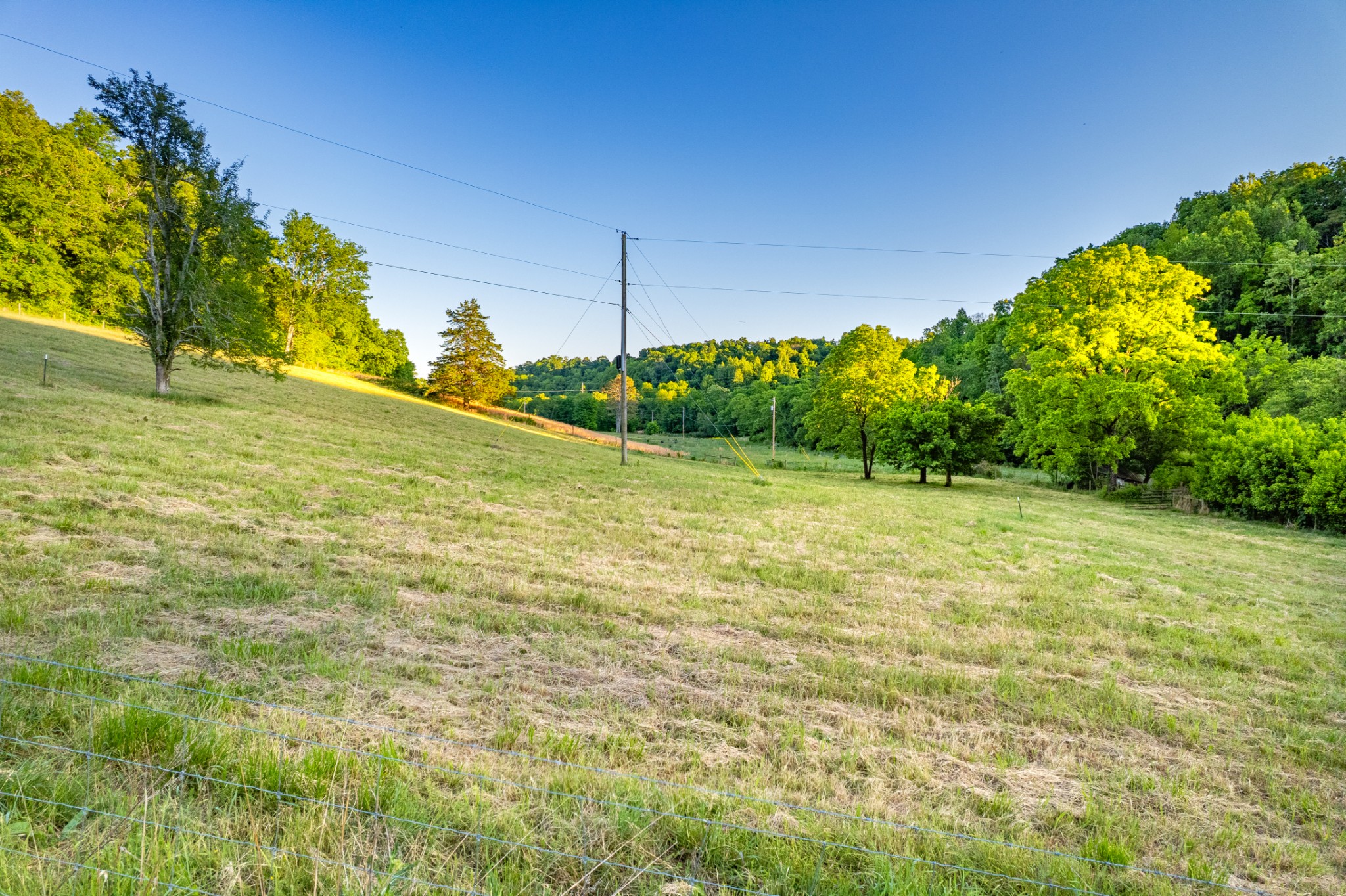 5 Young Road Pulaski, TN 38478 - Photo 9 of 12 a view of a yard with a tree