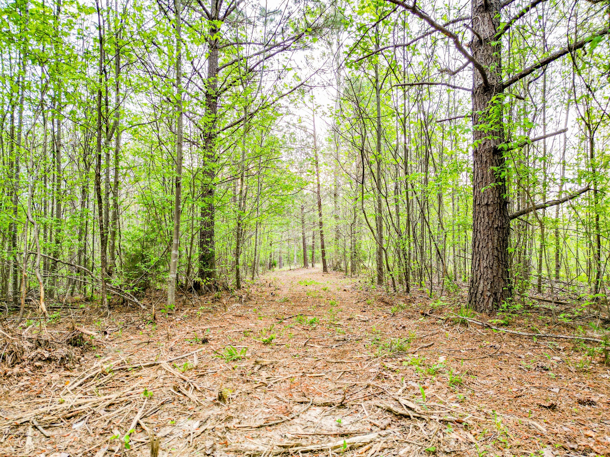 920 Mason Bates Bend Road Centerville, TN 37033 - Photo 65 of 82 Gallery Image 65