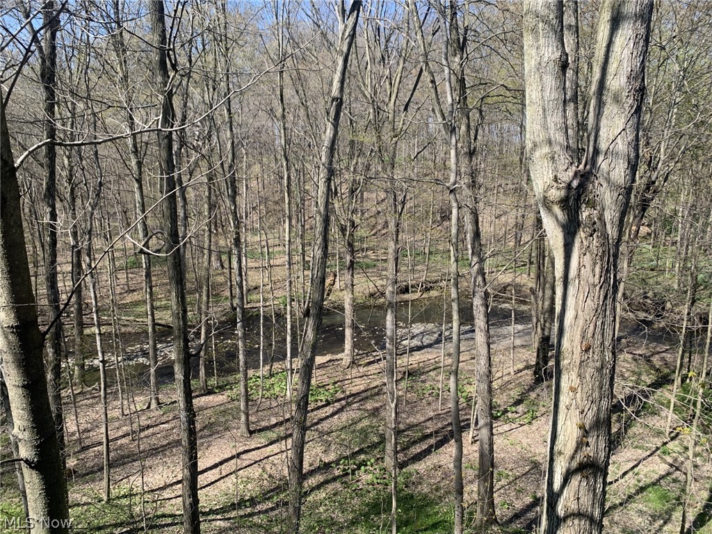 2915 State Rte 113 West Monroeville, OH 44847 - Photo 50 of 50 View of river behind house
