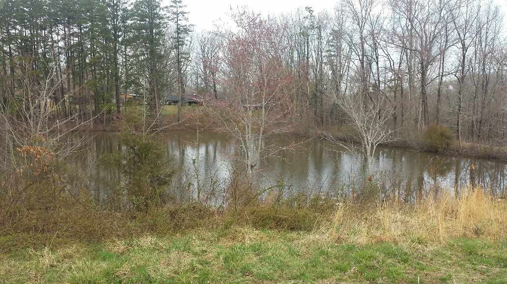 158 West Us Roxboro, NC 27574 - Photo 5 of 10 a view of a lake with trees in the background