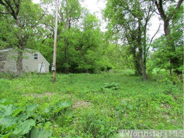 0 Unassigned Address Vermillion, MN 55085 - Photo 3 of 3