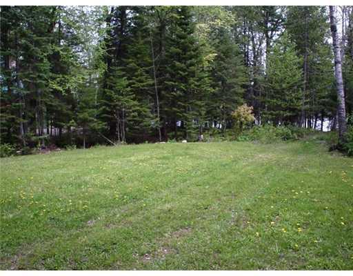 151 Gammon Pond Road New Portland, ME 04961 - Photo 2 of 4 Yard/Garden.