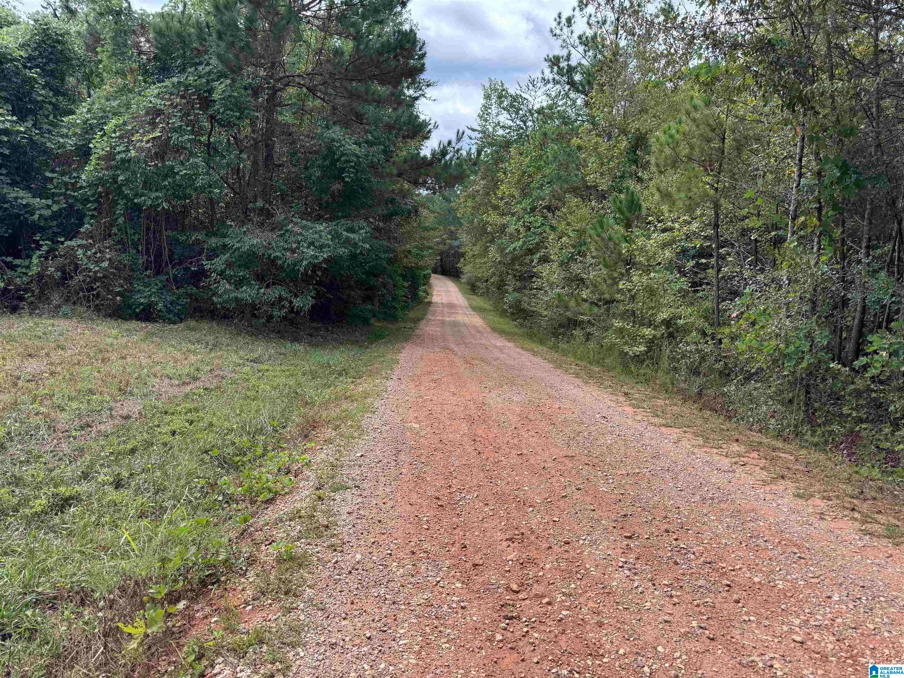 0 Robin Lane Delta, AL 36258 - Photo 10 of 20 Gallery Image 10