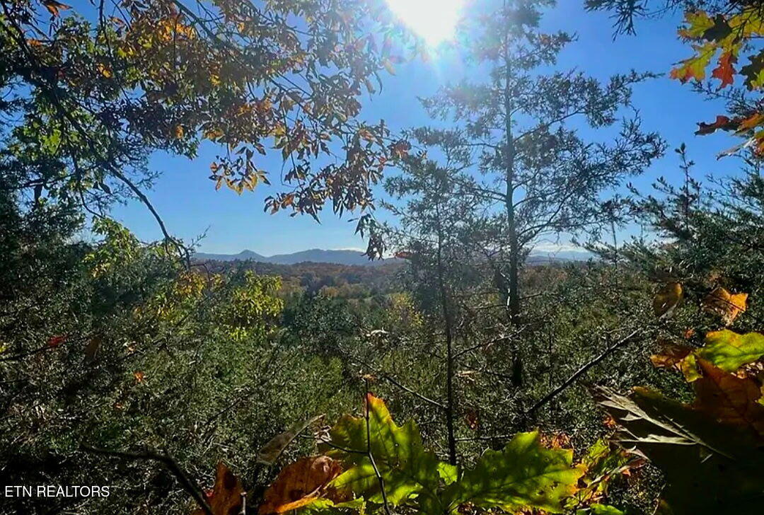 Manning Hollow Road Sevierville, TN 37876 - Photo 1 of 8 3407696679299594235