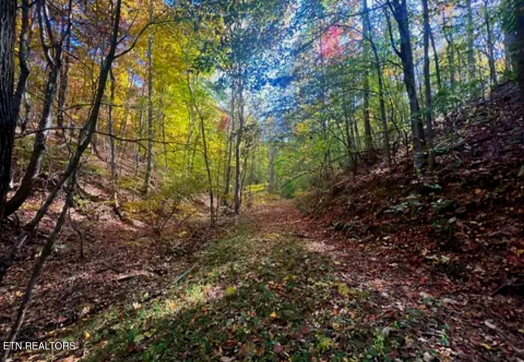 Manning Hollow Road Sevierville, TN 37876 - Photo 3 of 8 1658314083795799746