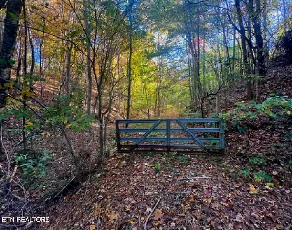 Manning Hollow Road Sevierville, TN 37876 - Photo 4 of 8 3356265963106188742
