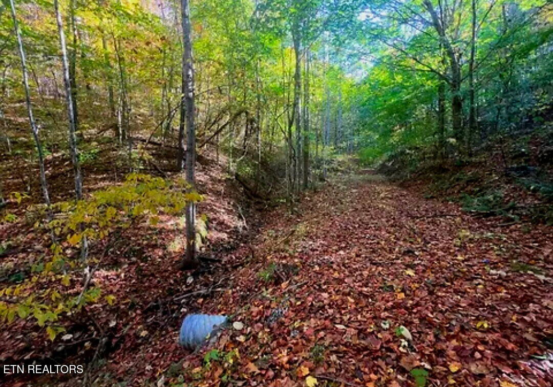 Manning Hollow Road Sevierville, TN 37876 - Photo 5 of 8 3599146363315565973