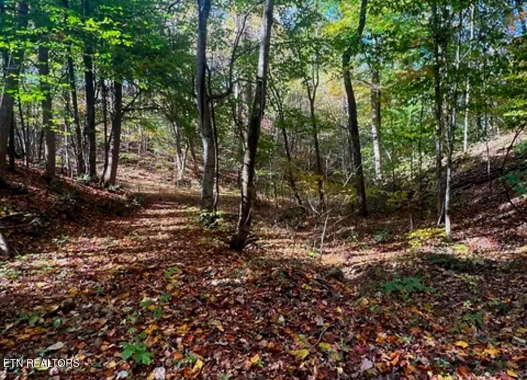 Manning Hollow Road Sevierville, TN 37876 - Photo 6 of 8 3746059904572376547