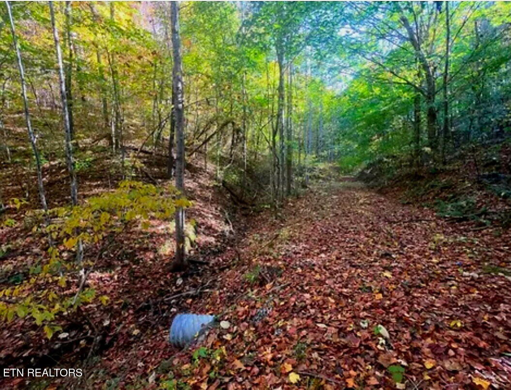 Manning Hollow Road Sevierville, TN 37876 - Photo 7 of 8 5764972097110217815