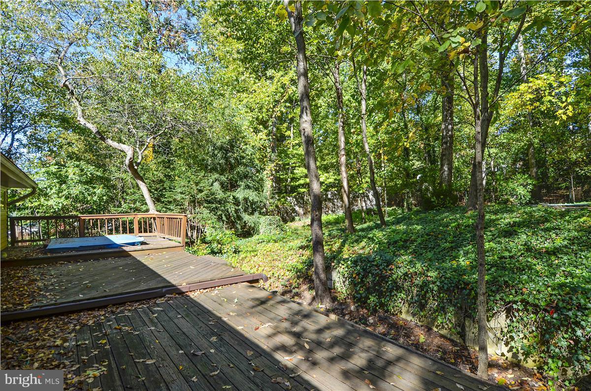 22709 Frederick Road Clarksburg, MD 20871 - Photo 16 of 18 Large deck with spa