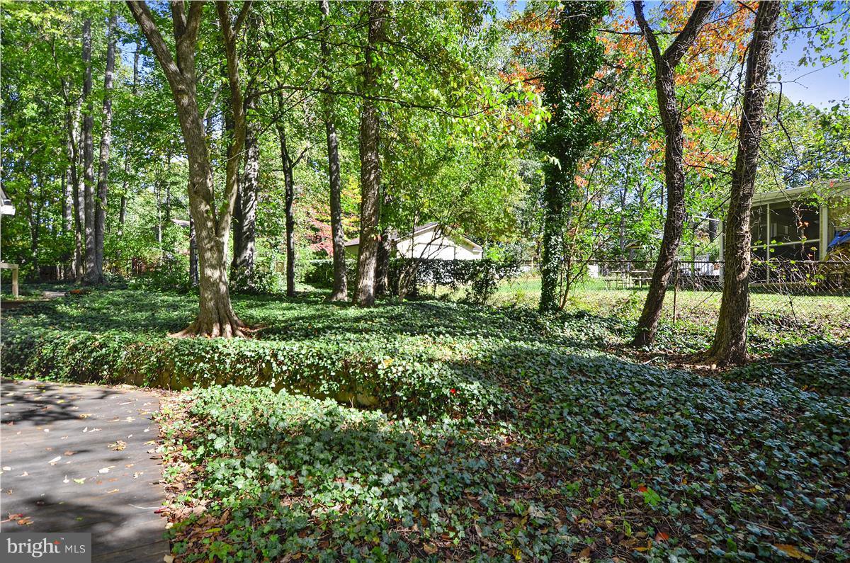 22709 Frederick Road Clarksburg, MD 20871 - Photo 17 of 18 Exterior (Rear)