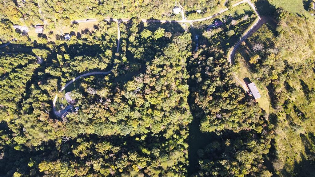 0 Reagan Branch Road Seymour, TN 37865 - Photo 17 of 31