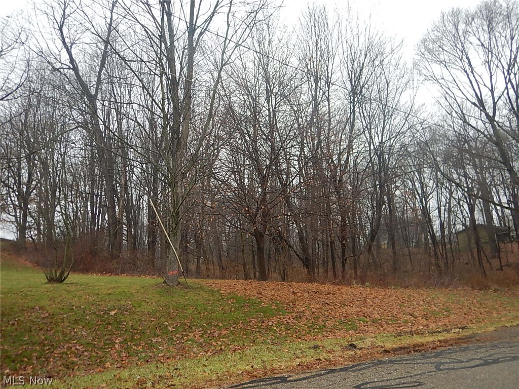 18 Woodview Road Uniontown, OH 44685 - Photo 5 of 7 Gallery Image 5