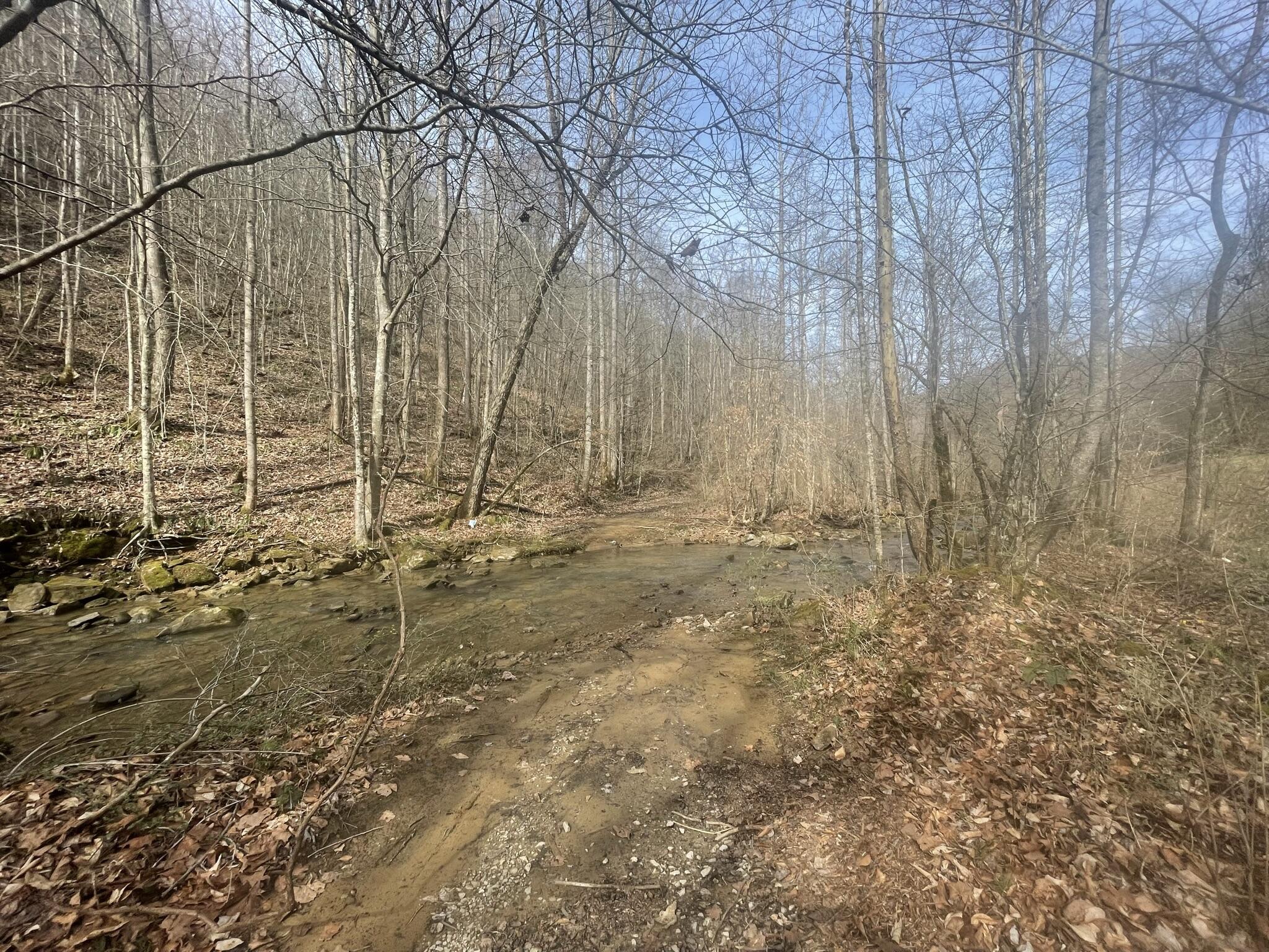 9999 Trace Branch Road Walker, KY 40997 - Photo 2 of 25 IMG_6486