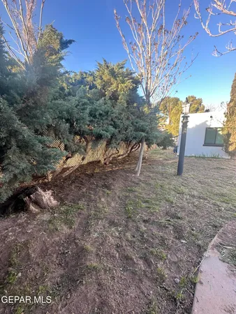 a view of a back yard of the house