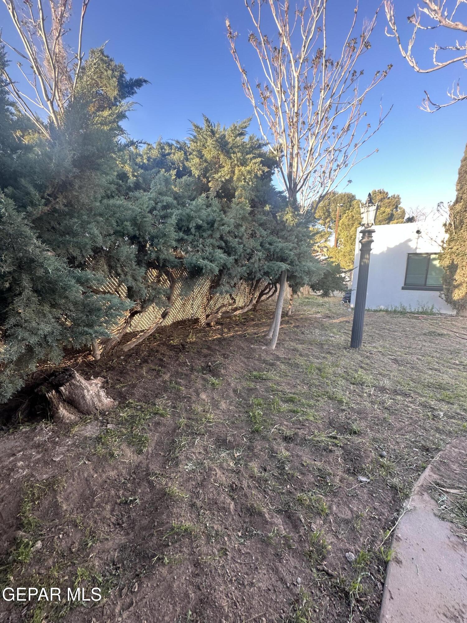 4527 Emory Road El Paso, TX 79922 - Photo 23 of 24 IMG_3052