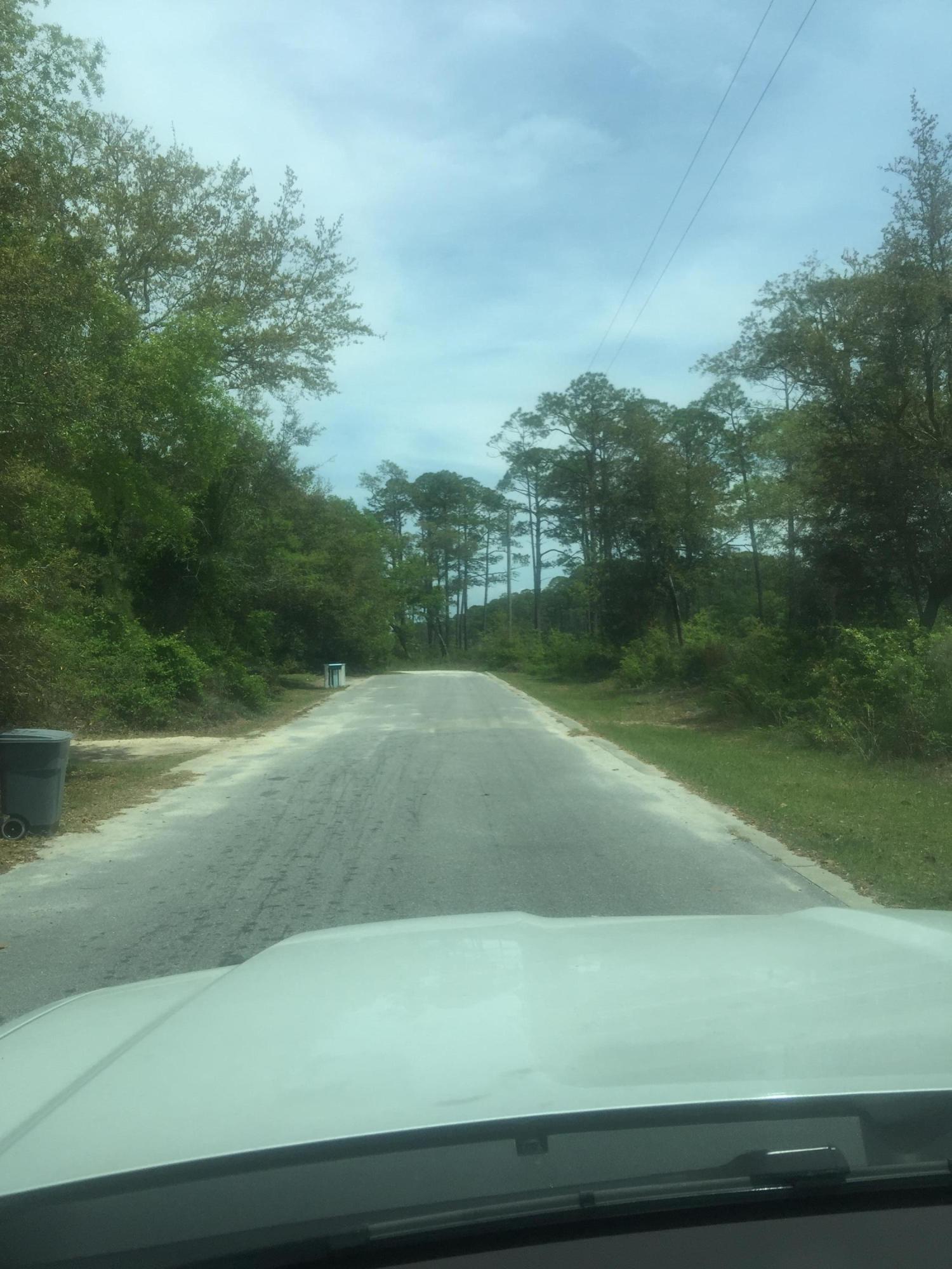 Lot 4 Native Tree Lane Santa Rosa Beach, FL 32459 - Photo 2 of 20 a view of yard