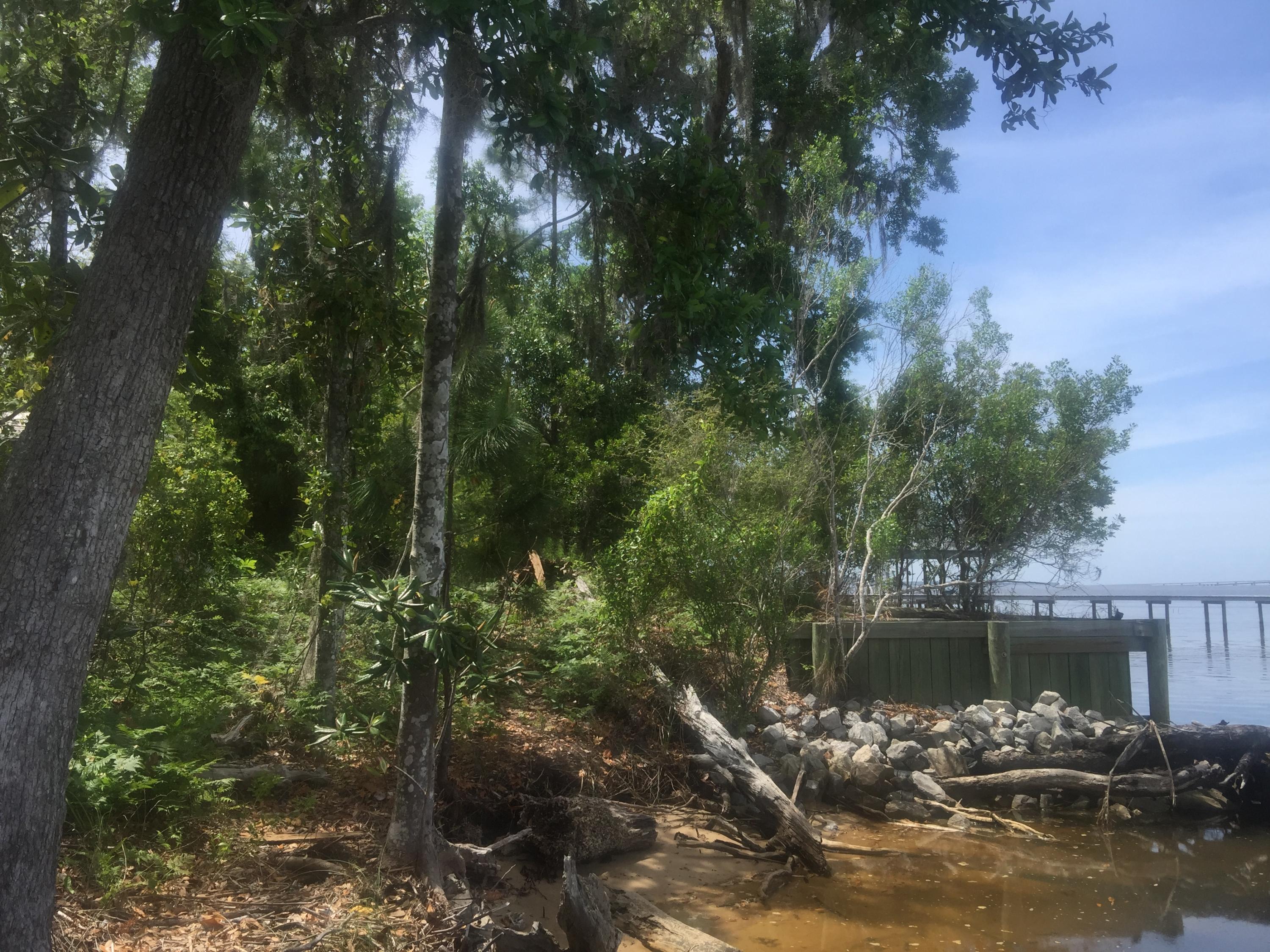 Lot 4 Native Tree Lane Santa Rosa Beach, FL 32459 - Photo 17 of 20 a view of a lake