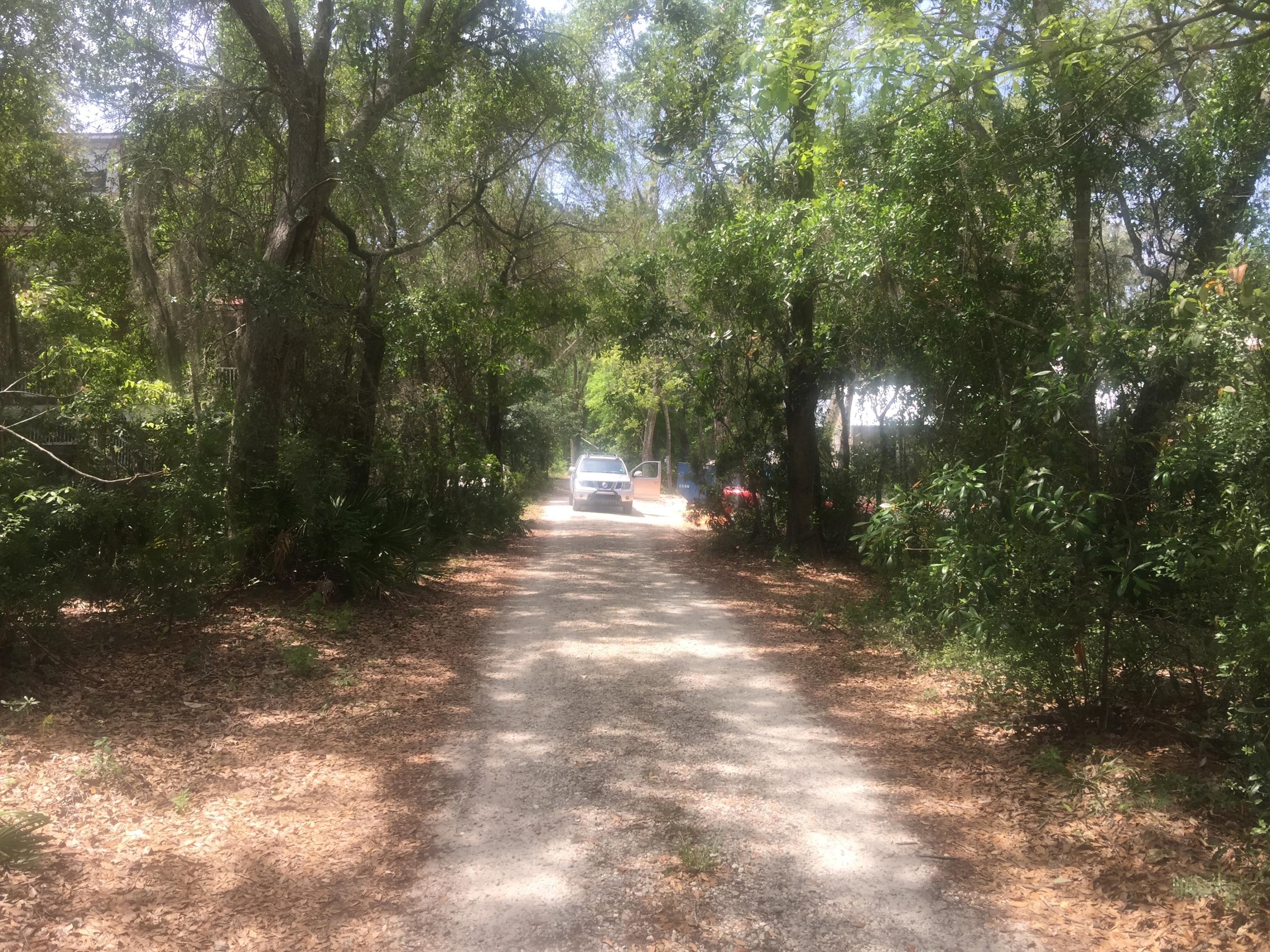 Lot 4 Native Tree Lane Santa Rosa Beach, FL 32459 - Photo 6 of 20 a view of outdoor space and yard