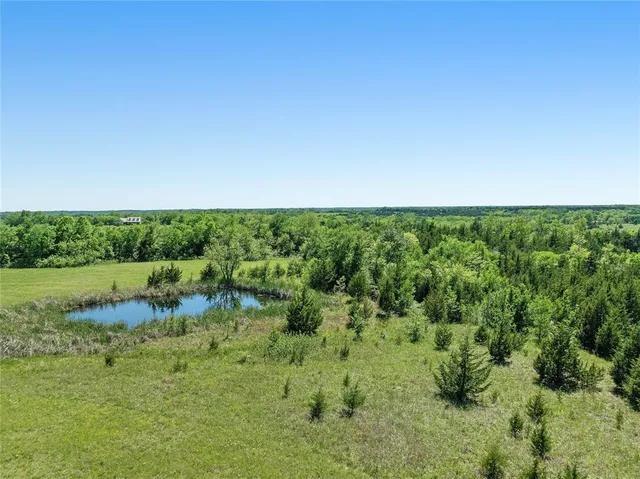 a view of a bunch of trees and bushes