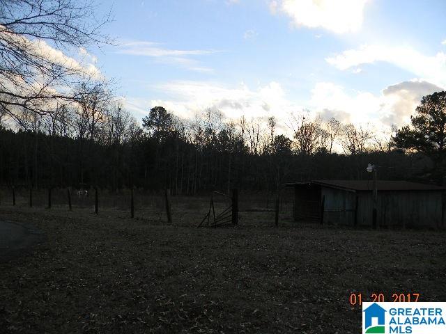 151 Glenn Road Wilsonville, AL 35186 - Photo 17 of 34