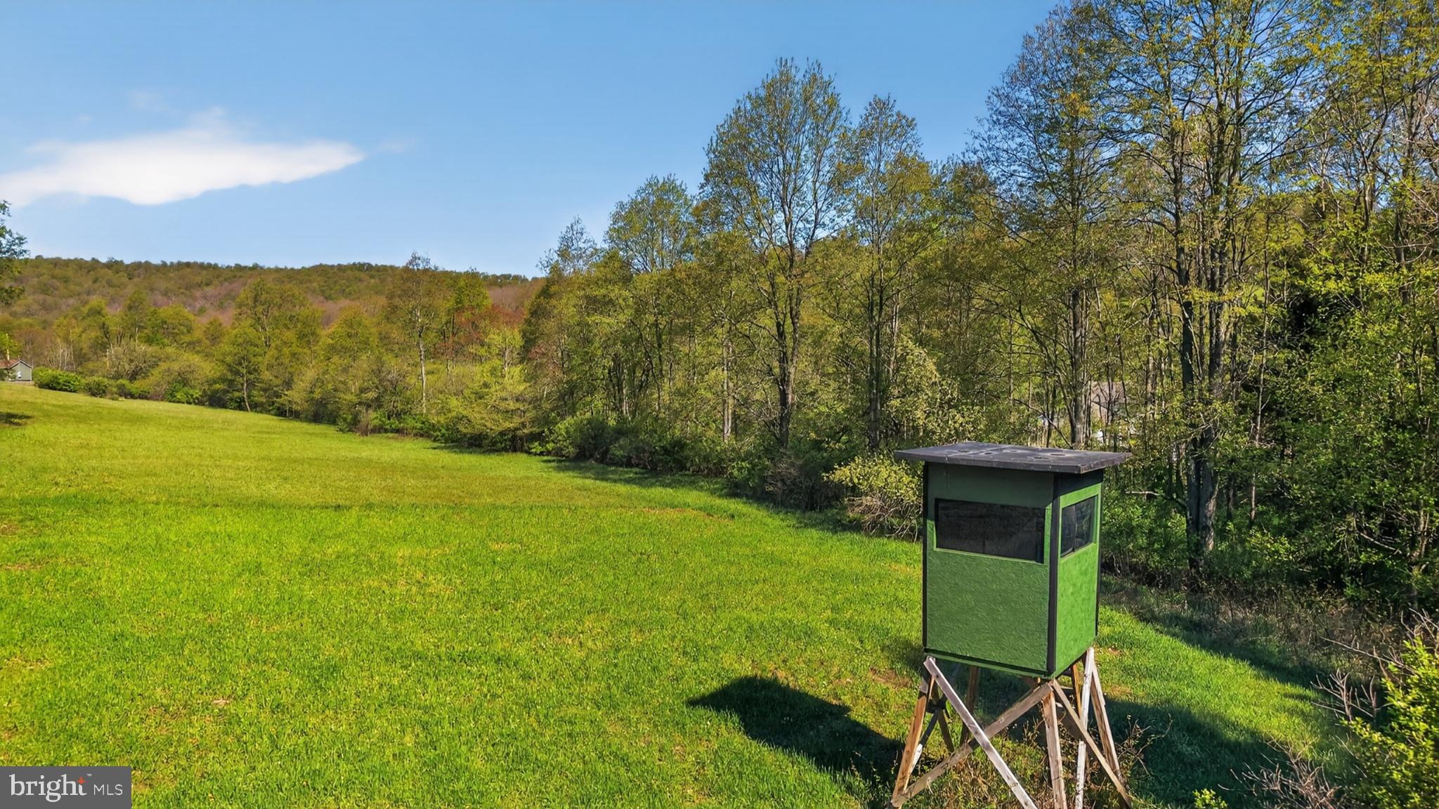 259 A A-Frame Road Coudersport, PA 16915 - Photo 102 of 130 Secluded hunting perch in nature.