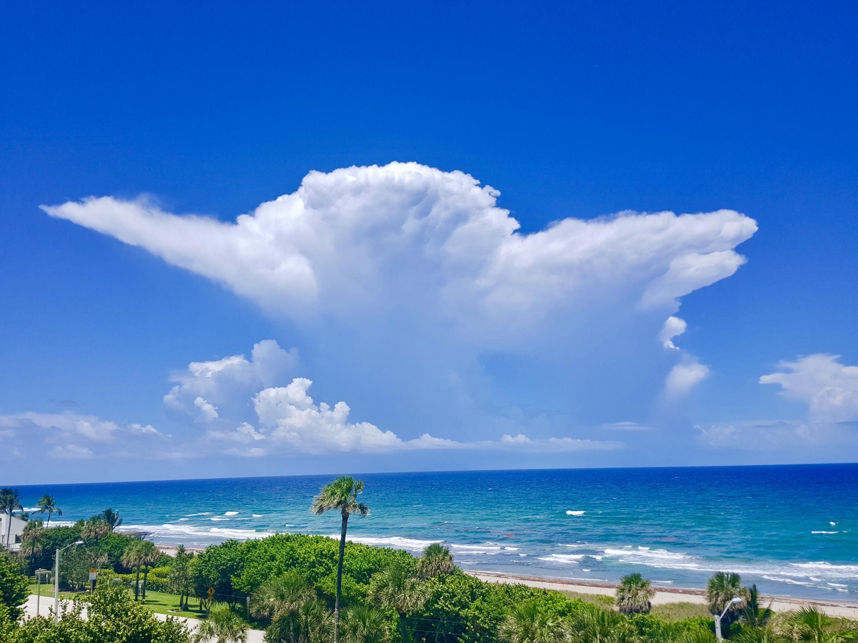 4101 North Ocean Boulevard, Unit D1803 Boca Raton, FL 33431 - Photo 7 of 8 SEA RANCH CLUB PRISTINE PRIVATE BEACHES