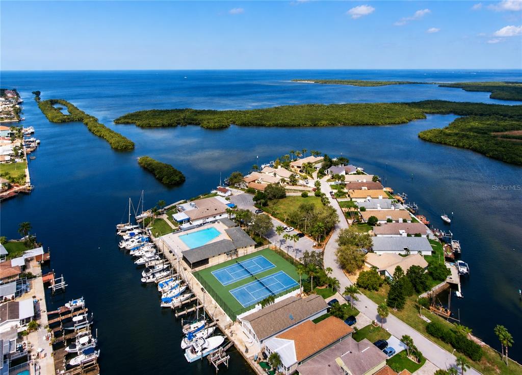 4510 Rickover Court New Port Richey, FL 34652 - Photo 69 of 80 Gallery Image 69