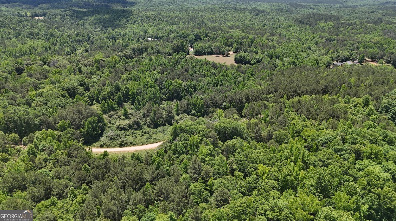 0 Creek Road, Unit LOT 2 Ashland, AL 36251 - Photo 11 of 20