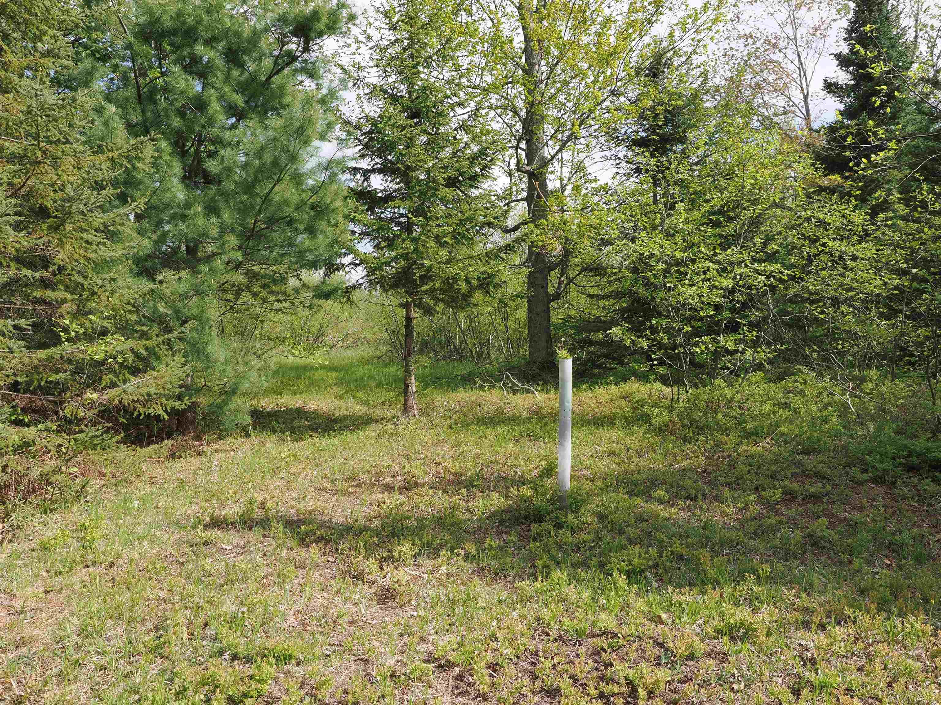 4011 Sandall Road Alpena, MI 49707 - Photo 41 of 73