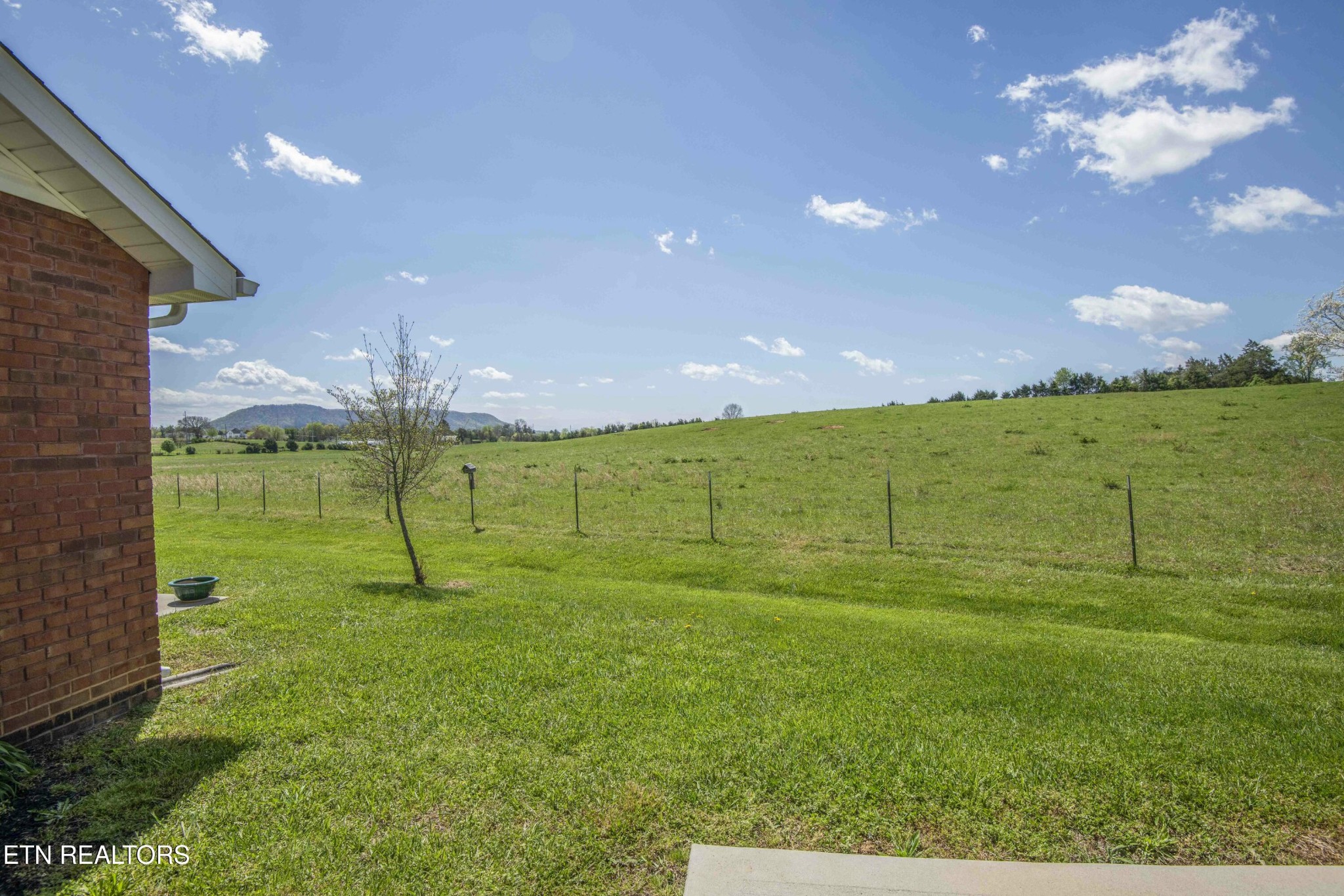 337 Angus Crossing Corryton, TN 37721 - Photo 35 of 36 a view of a big yard