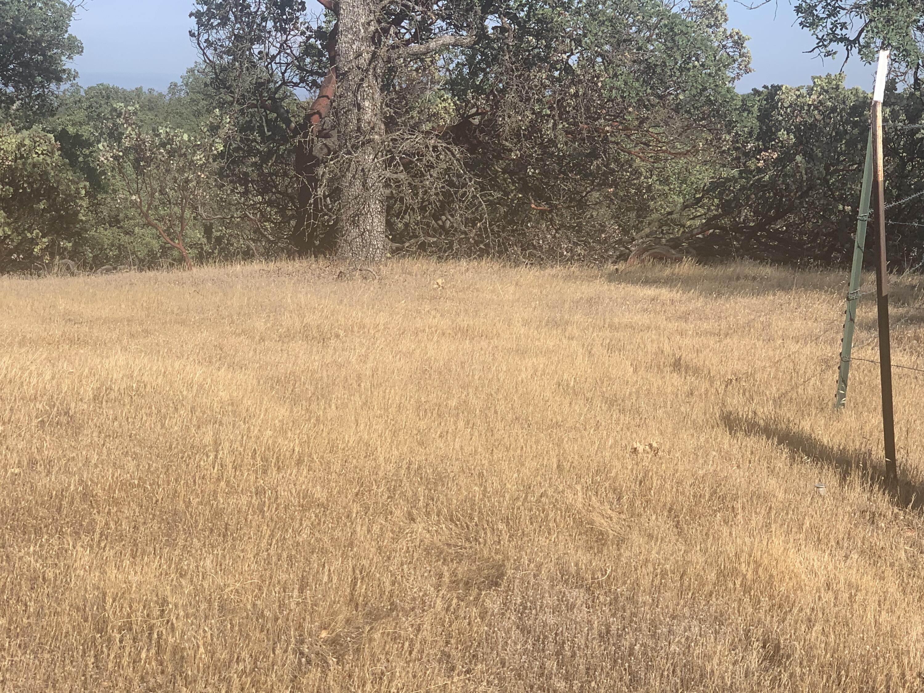Corner of Property