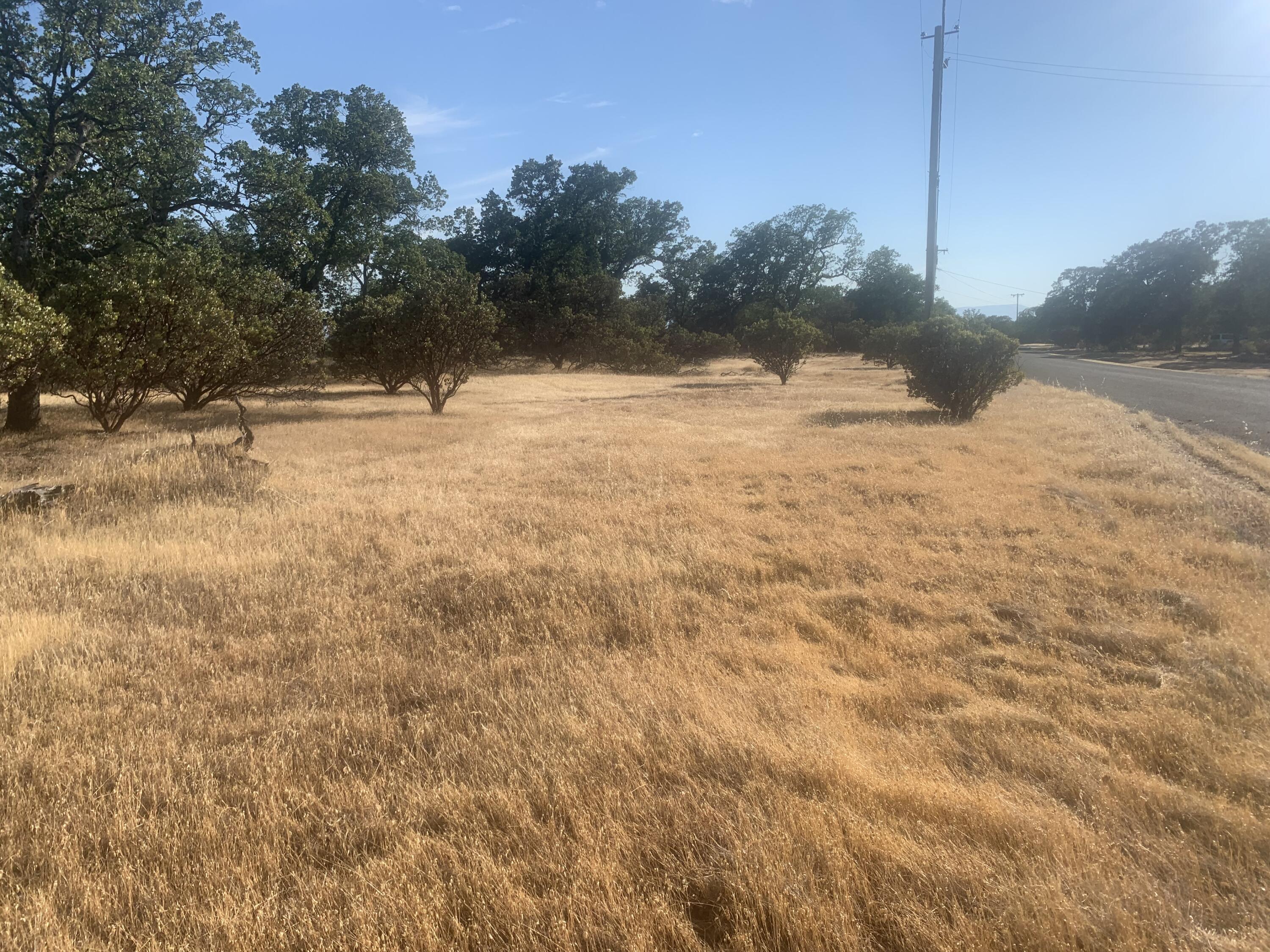 63 Quail Ridge Road Cottonwood, CA 96022 - Photo 10 of 11 Property...