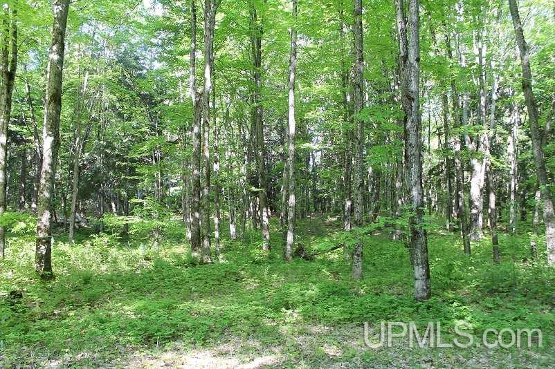 15867 Dd Road Wetmore, MI 49895 - Photo 12 of 16