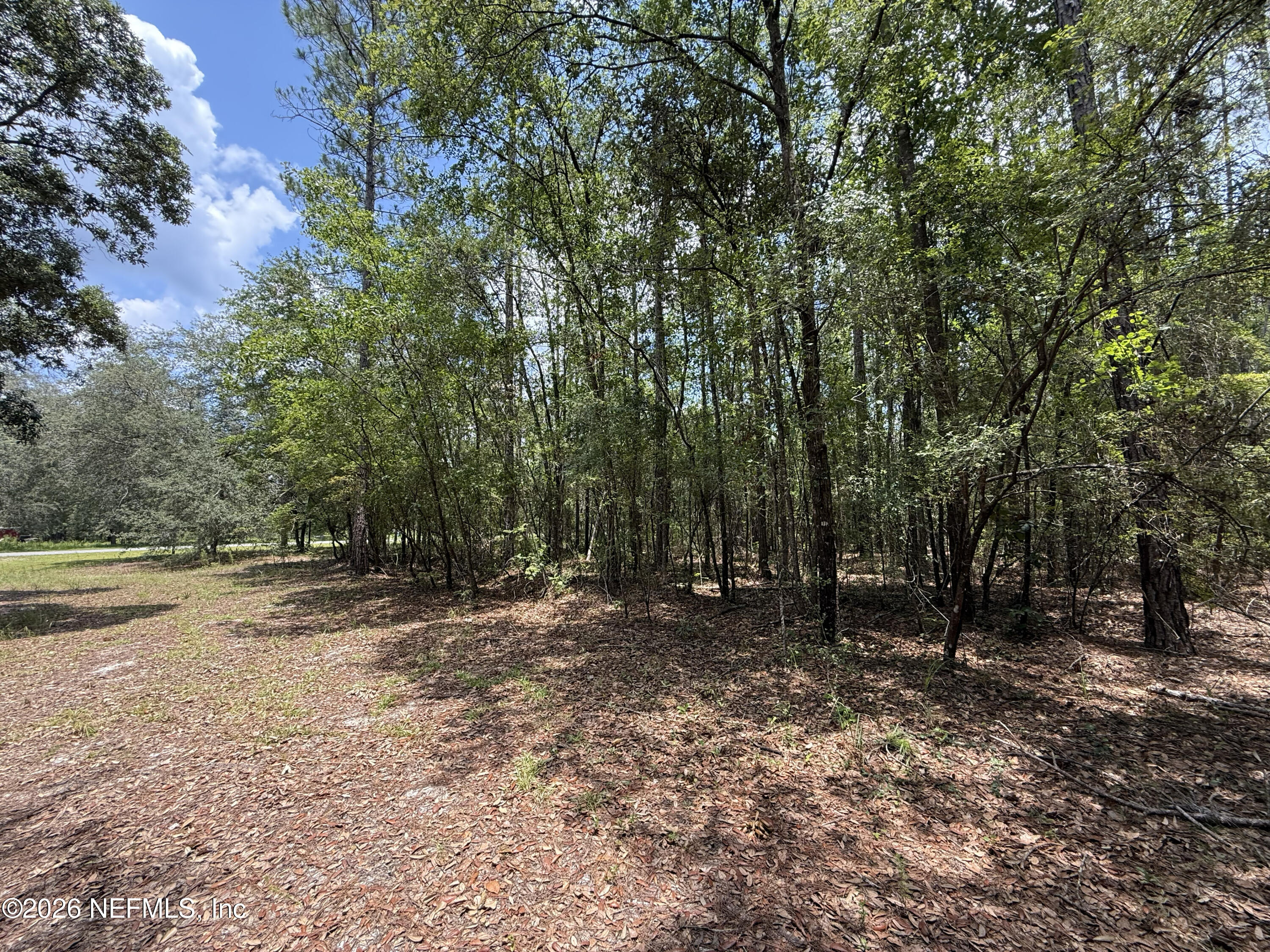 15422 Bullock Bluff Road Bryceville, FL 32009 - Photo 6 of 23 a view of a forest with trees in the background