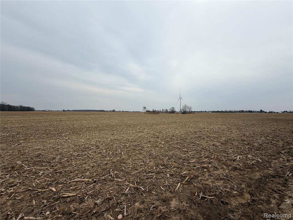 V/l Ringle Caro, MI 48723 - Photo 2 of 3