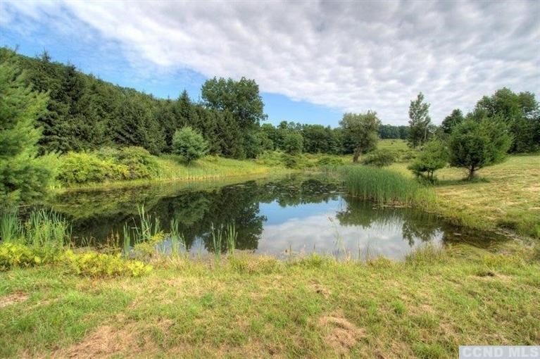 a view of a lake view with houses in back