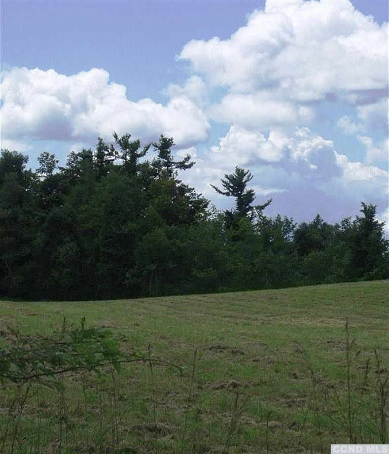 0 Ronadale Road Taghkanic, NY 12521 - Photo 3 of 5 a view of outdoor space and yard