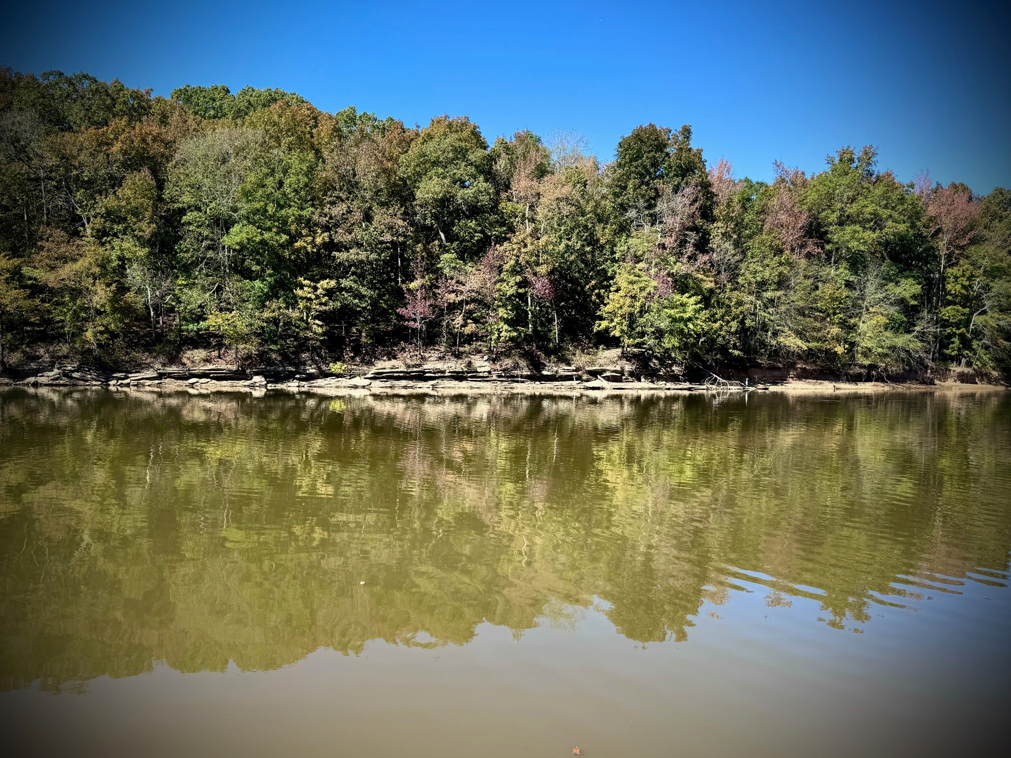 0 Ds Cove Decaturville, TN 38329 - Photo 30 of 60 a view of a lake with a mountain in the background