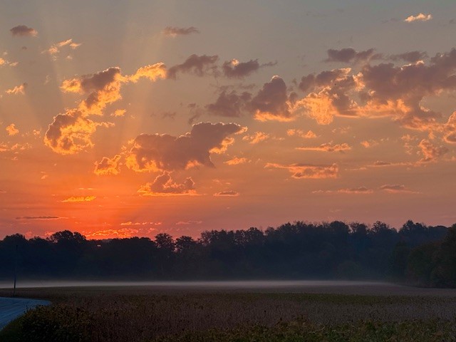 0 Ds Cove Decaturville, TN 38329 - Photo 36 of 60 a view of sunset