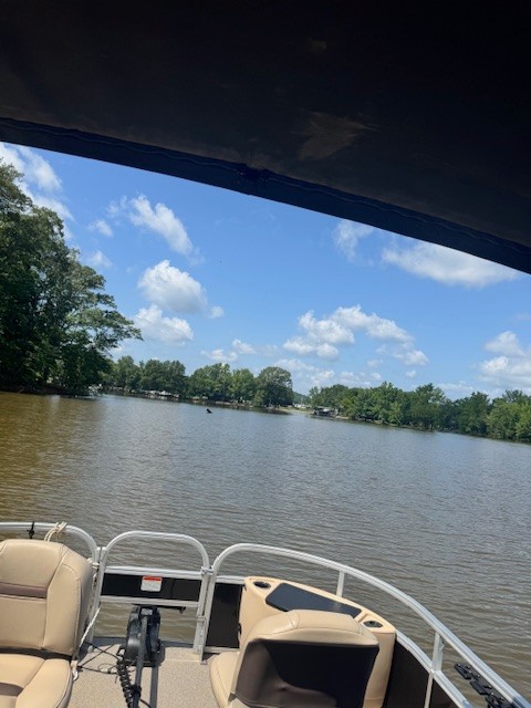 0 Ds Cove Decaturville, TN 38329 - Photo 37 of 60 a view of a lake with couches chairs