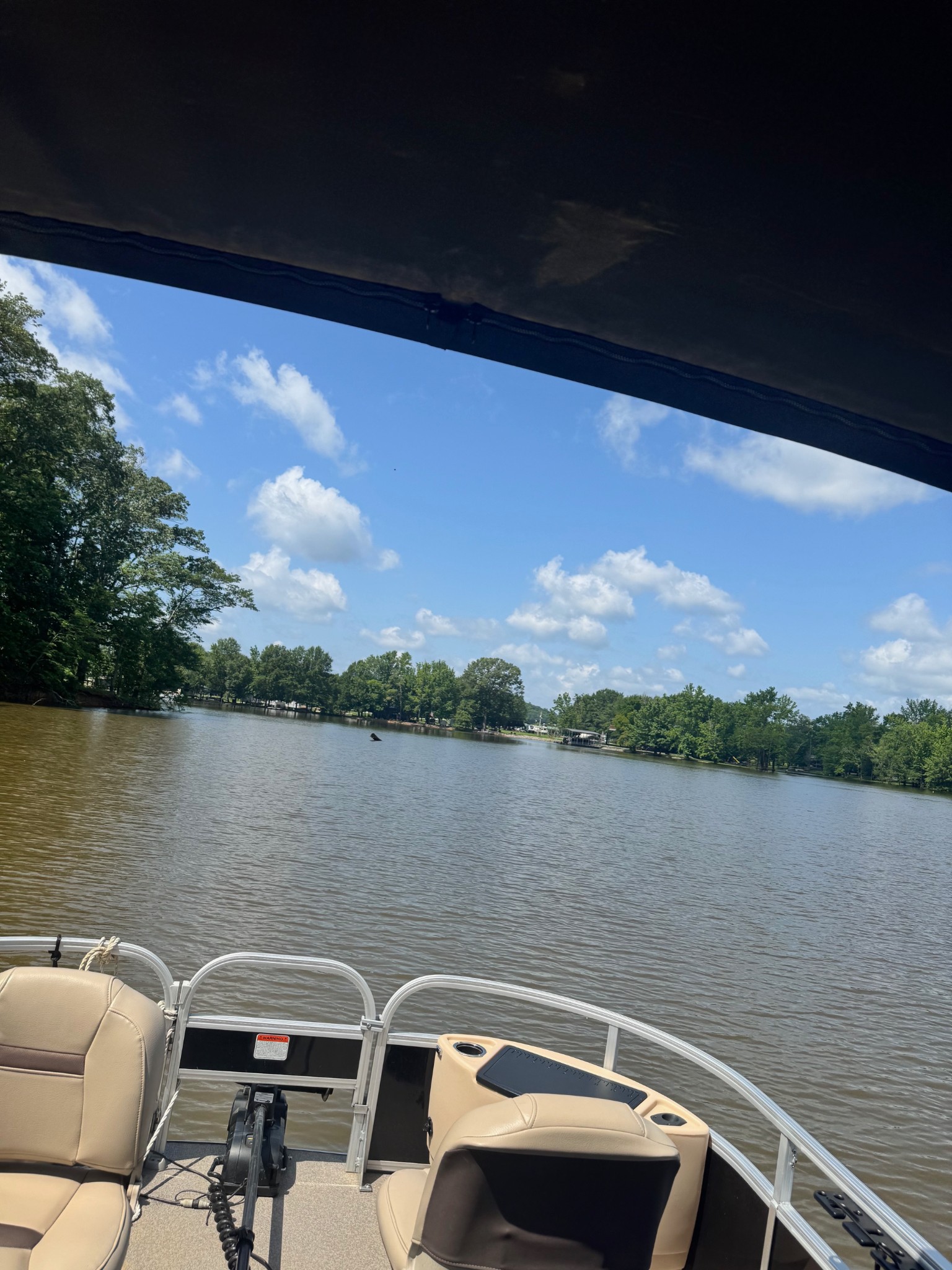 0 Ds Cove Decaturville, TN 38329 - Photo 49 of 60 a view of a lake with couches chairs