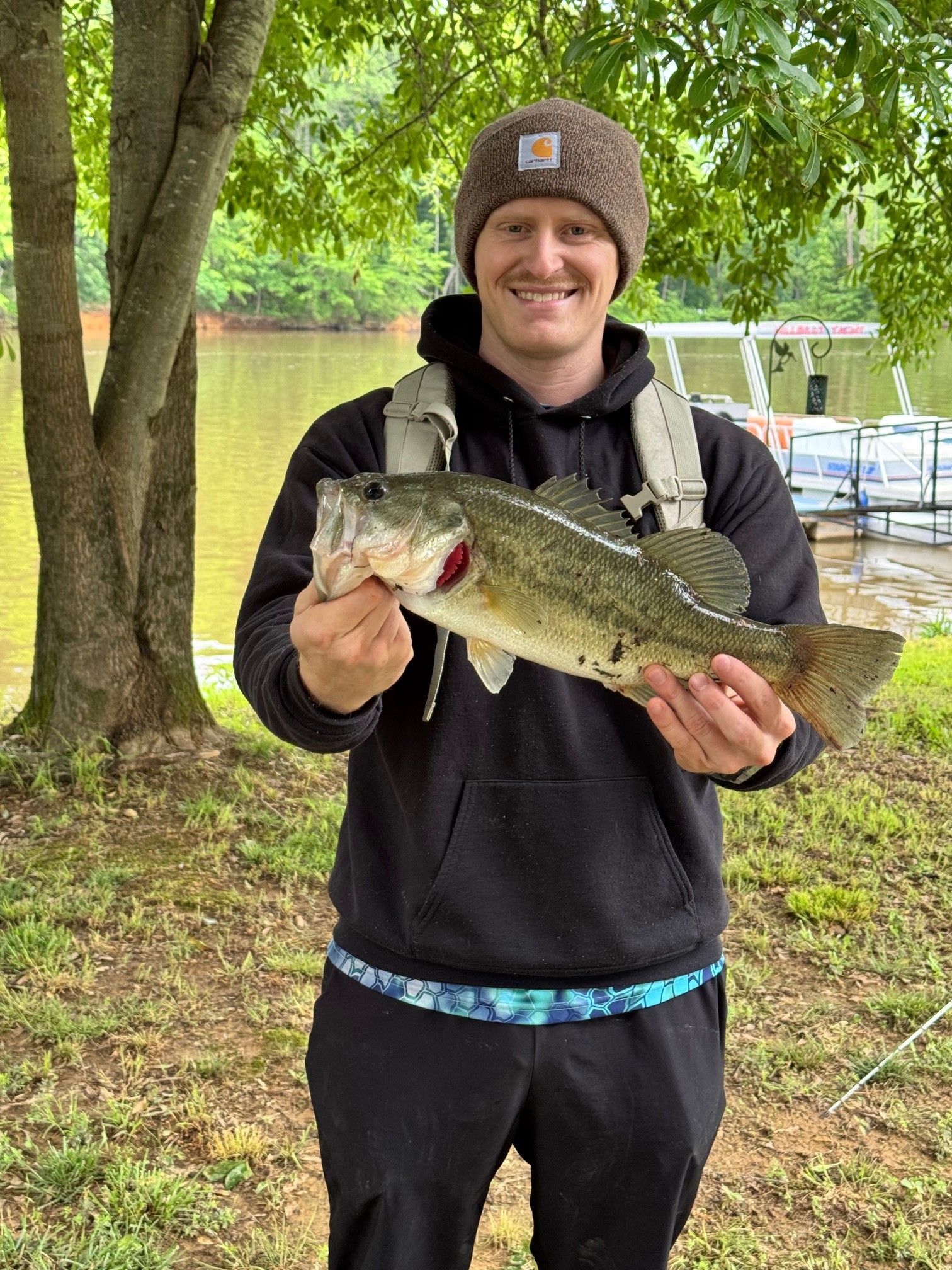 0 Ds Cove Decaturville, TN 38329 - Photo 50 of 60