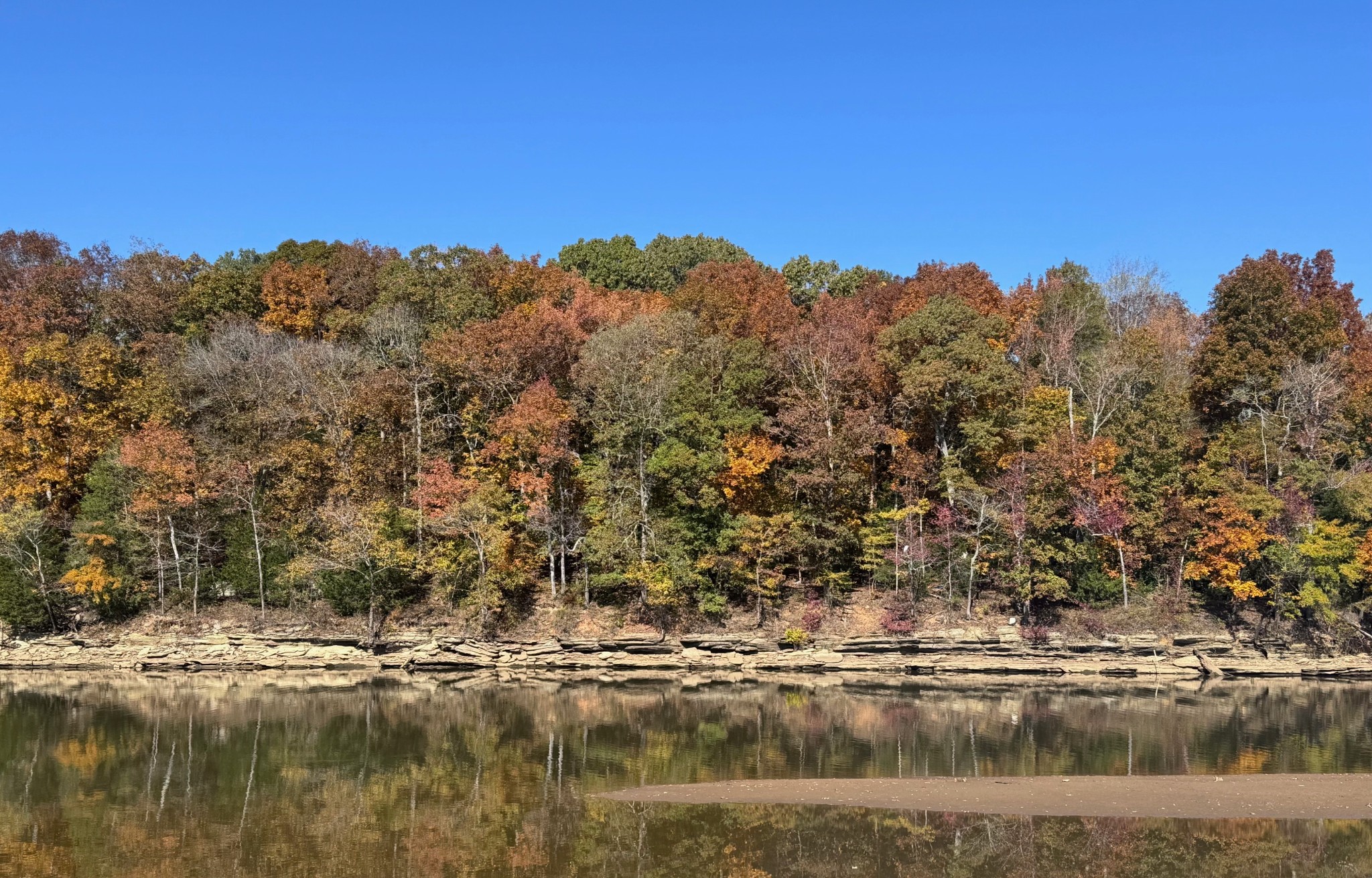 0 Ds Cove Decaturville, TN 38329 - Photo 54 of 60 a view of ocean