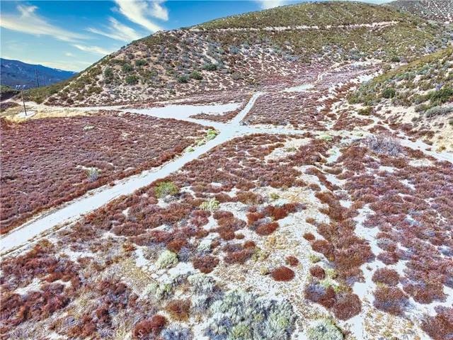 a view of a dry yard with wooden fence