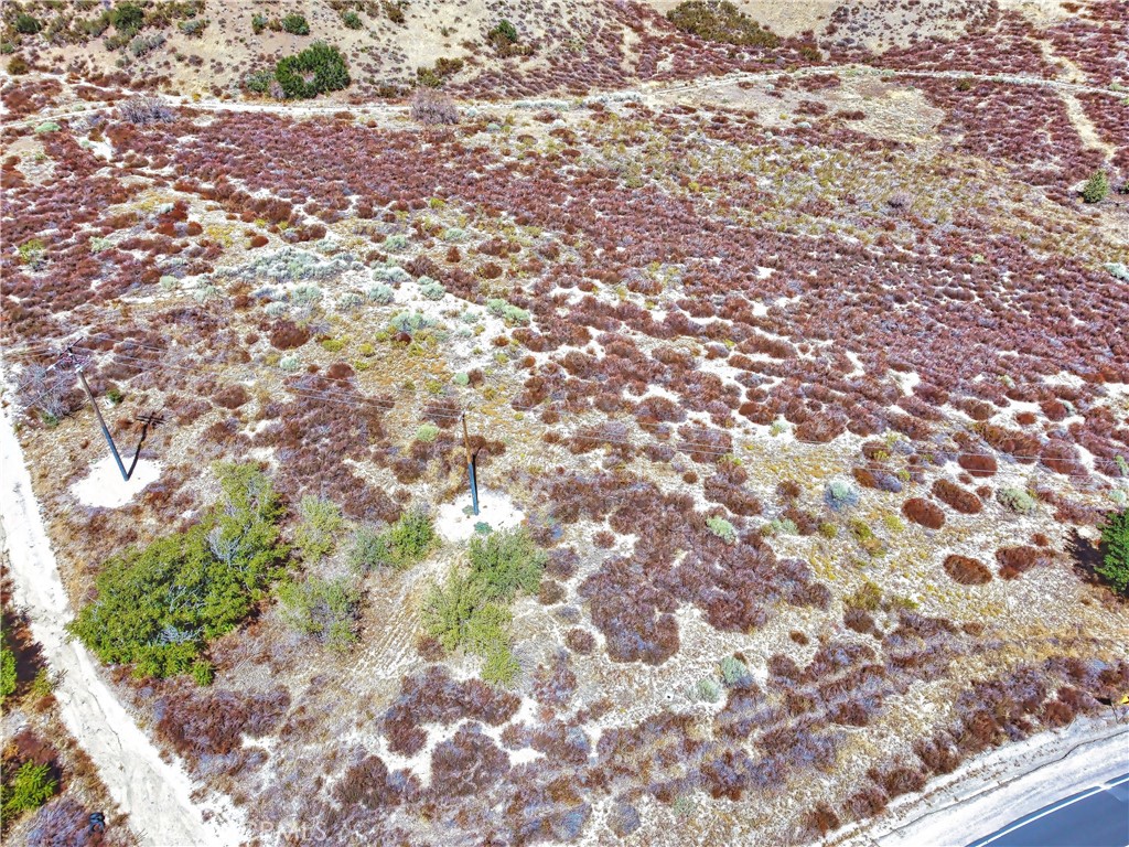 0 Spunky Canyon Road Santa Clarita, CA 91390 - Photo 10 of 20 a picture of trees