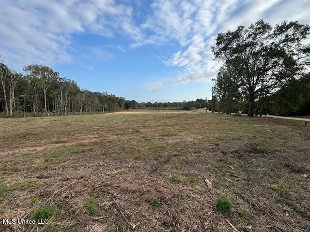 $1,350,000 | 124 Davis Crossing Road, Canton, MS 39046