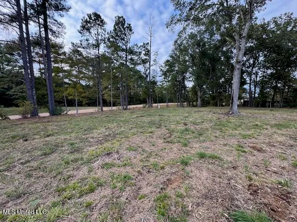 $1,350,000 | 124 Davis Crossing Road, Canton, MS 39046